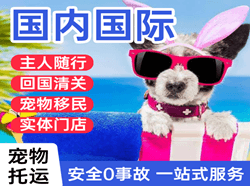 九寨黄龙机场货运国际宠物托运 【国